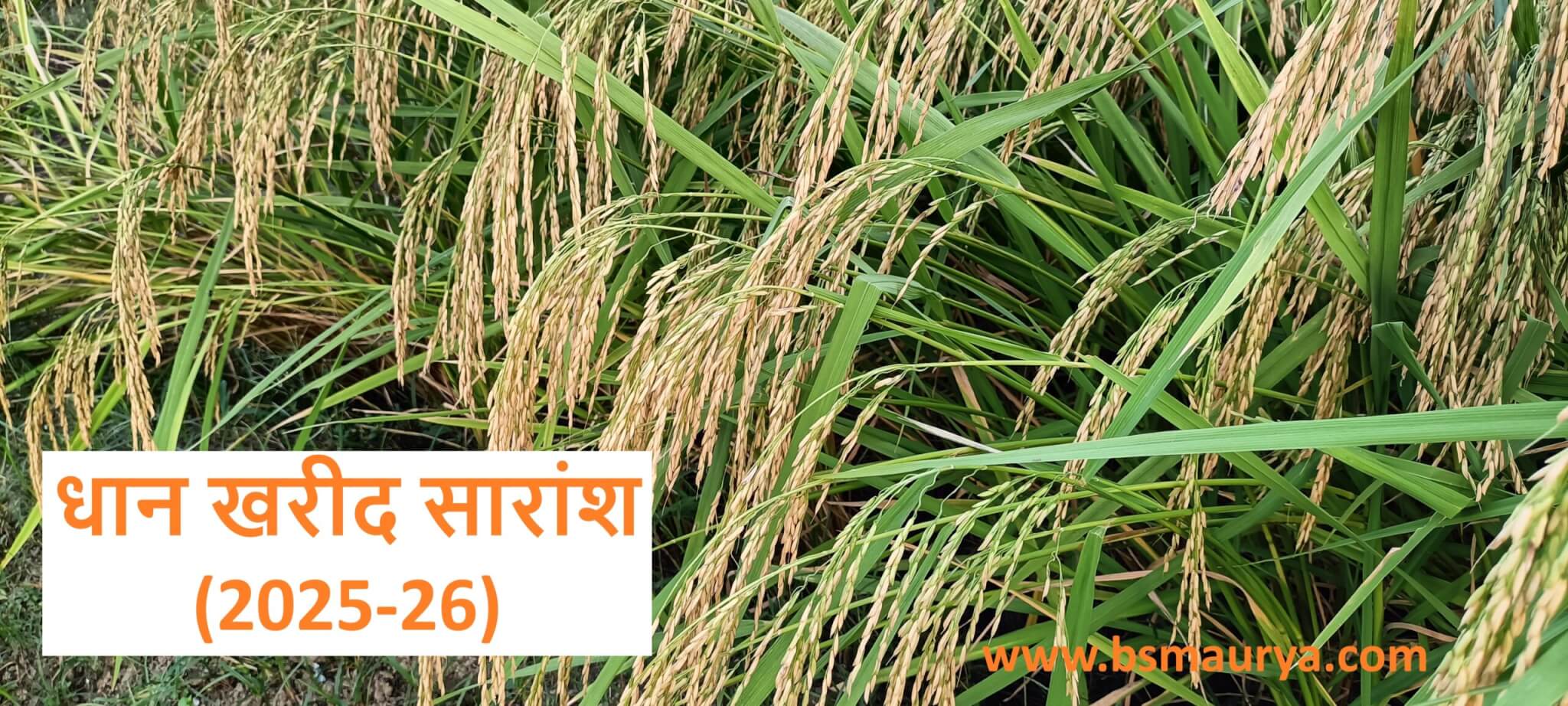 धान खरीद सारांश (2025-26)